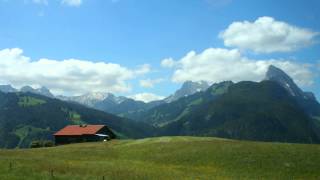 Parlours - I Dream Of Chicago - Day 11