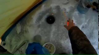 Зимняя поплавочная удочка - оснастка на леща