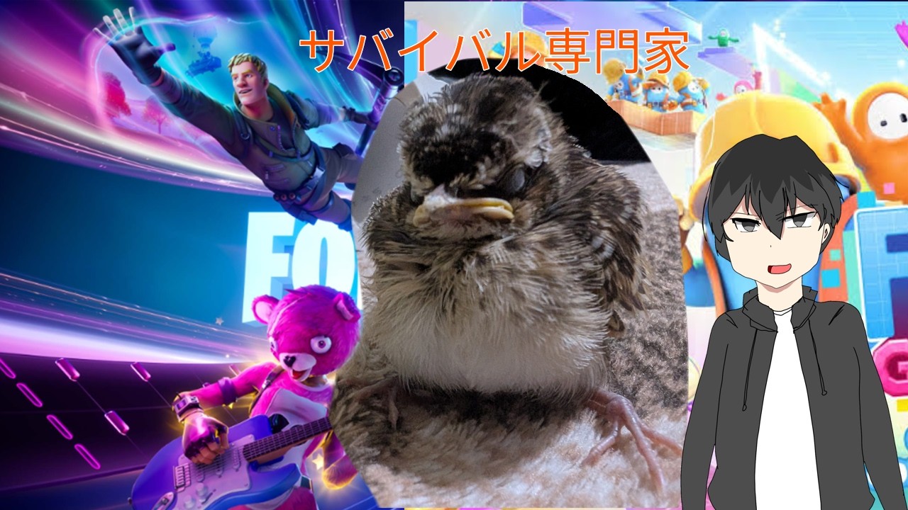 フォールガイズ、ゲーム配信、【かる/ＶＴｕｂｅｒ】かるチャンネル のライブ配信