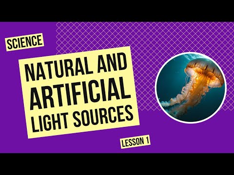 Natural and Artificial Light Sources | Science Lesson