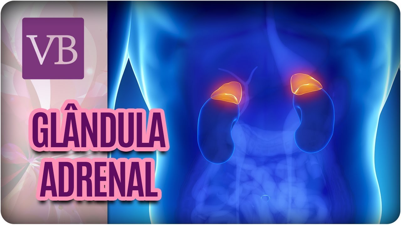 Glândula Adrenal: Impactos no Peso e Saúde - Você Bonita (14/03/18)