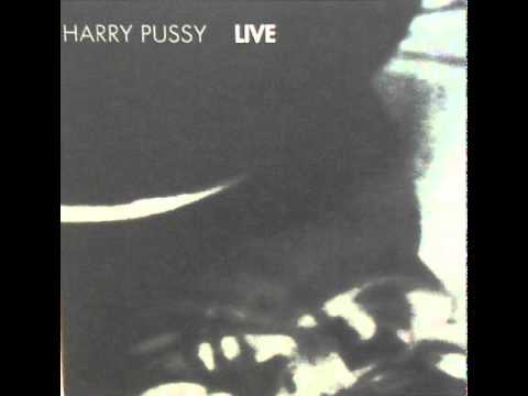 Harry Pussy - mandolin (punk rock is killing all my friends)