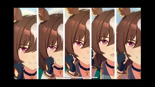 【ウマ娘】シリウスシンボリとナカヤマフェスタがギリギリの勝負してくれたらしい