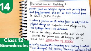 14) Denaturation of protein| Enzymes| Mechanism of Enzyme action| Biomolecules Class12 chemistry