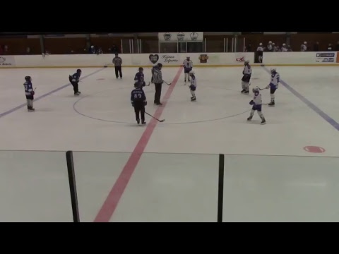 Vaps - Kiekko-Karhut