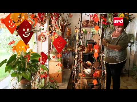 SPÖ Maria Lanzendorf Video