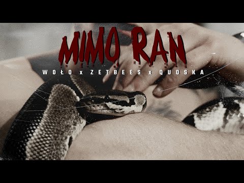 Woło Ambitnie and Street Music