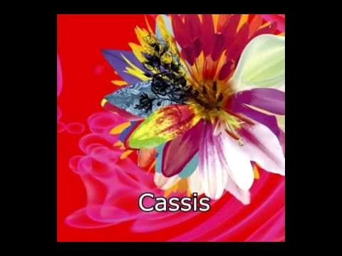 the GazettE - Cassis(Btype) (Full Single)