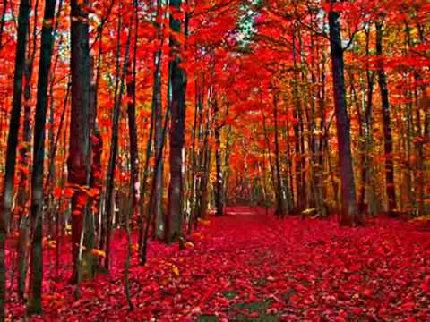 LOVELY ON MY HAND..Dorotea Mele. Subtitulada en español.