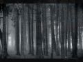 shearwater - sealed