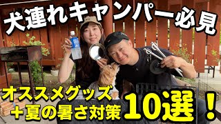 犬連れキャンプ初心者必見！オススメ神グッズ10選！＋夏の暑さ対策グッズ紹介🐾