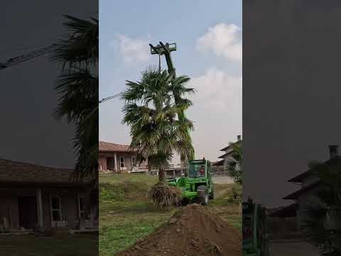 #constructionchannel #construction #heavycivil #woodworking #nuovacostruzione #diy #wood #subscribe