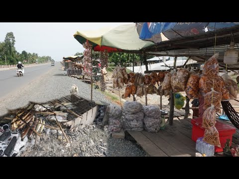 Amazing Street Food @Countryside - Relax & Yummy Eating Food Under Tree Along National Road 5