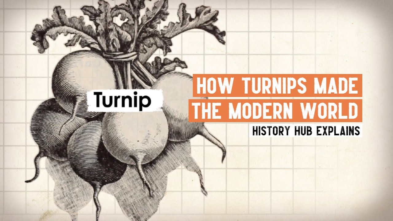 What was the Agricultural Revolution?