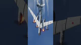 ロシア爆撃機Tu-95を撃墜する米軍F-14B フェニックスミサイル【DCSWorld】
