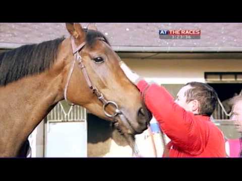 Breeders' Cup Spotlight: Goldikova