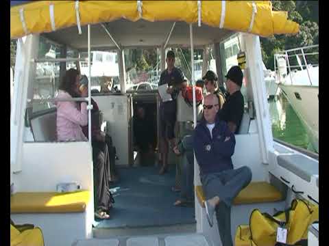 Diving the Poor Knights Islands with Dive! Tutukaka