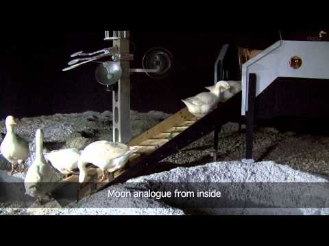 Segundo premio VIDA 15.0 - Moon Goose Analogue: Lunar Migration Bird Facility