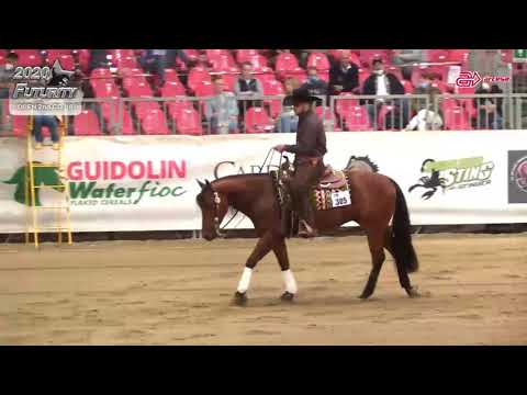Futurity 2020 - THOMAS BEGET & SHININ MOONSTONE score 214 composite 428,5