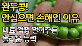 완두콩 안심으면 손해인 이유 - 비료 걱정 덜어주는 놀라운 능력