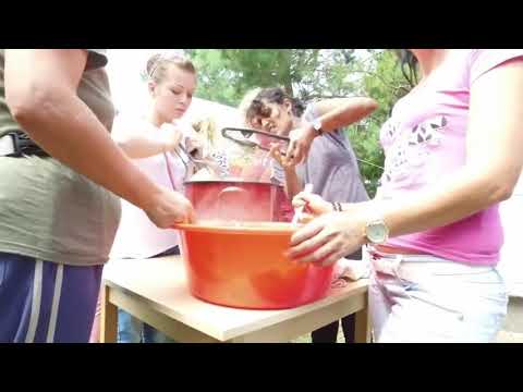 Patapoklosi nyár 2016