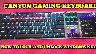 Lock and Unlock Windows (Start) Key on Gaming Keyboard