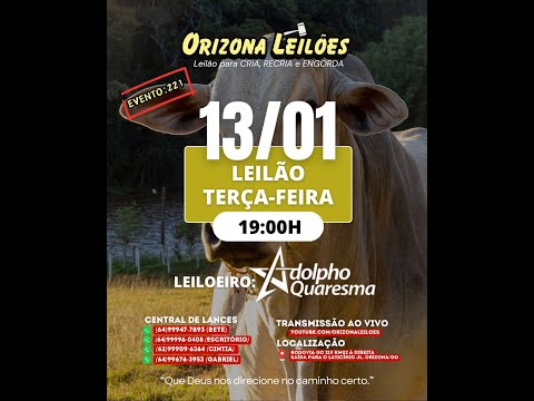 Orizona Leilões - 13/01/2026 I Leilão ao Vivo - Leilão em Goiás