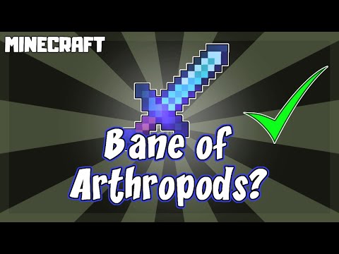 Insane Minecraft Arthropod Bane!