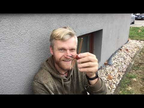 Setkání poetů v dýmu