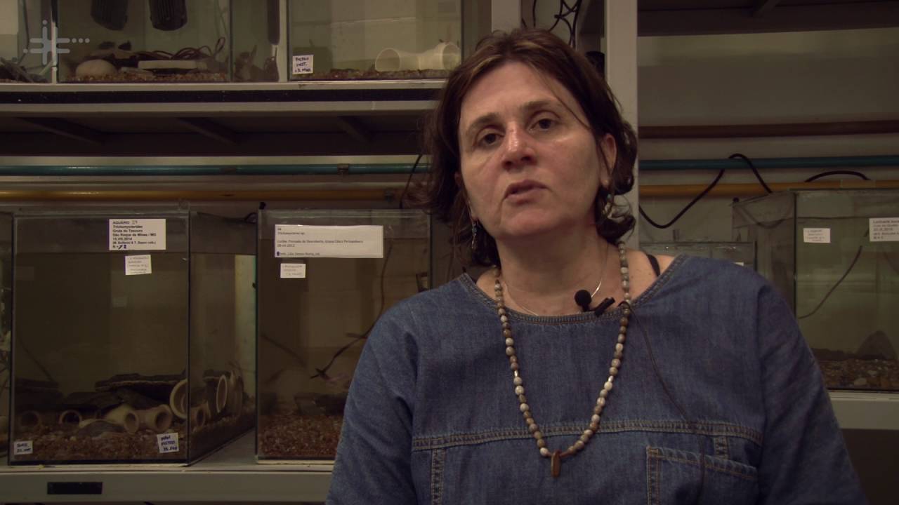 Ecologia de animais cavernícolas é tema de pesquisas na UFSCar