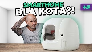 Kuwety samoczyszczące! Prezent dla Ciebie czy wyprawka dla kota? TOP 3 MUST HAVE gadżetów dla kota.