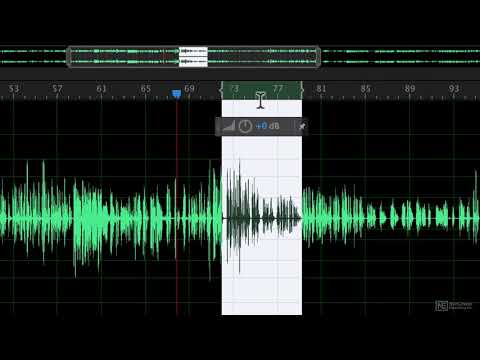 Free Download Audition CC Absolute Beginners Guide TUTORiAL-SYNTHiC4TE