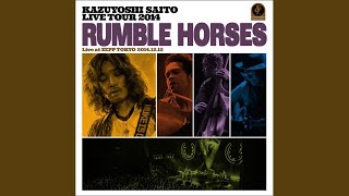 Zutto Sukidatta (&quot;Rumble Horses&quot; Live at ZEPP TOKYO 2014.12.12)