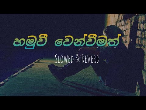 Hamuwi Wenweemath Daiwaye Thiranayak | Slowed & Reverb #new #slowedandreverb