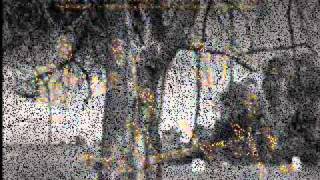 Fred McDowell & The Hunter's Chapel Singers   It's a Blessing