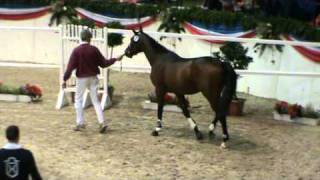 Video från Crunch 3