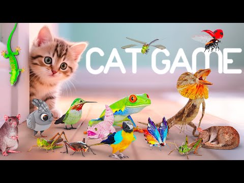 CAT GAMES 🐾3D Game for Cats to Watch – Ultimate CAT TV with Birds, Mice & More! 😻 4K60FPS