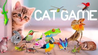 CAT GAMES 🐾3D Game for Cats to Watch – Ultimate CAT TV with Birds, Mice & More! 😻 4K60FPS