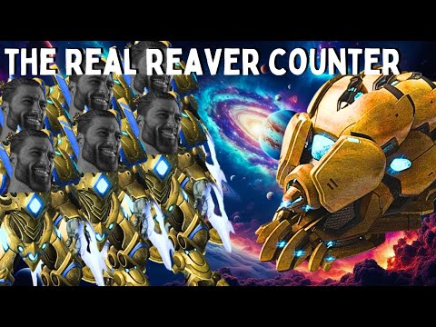 CHAD ZEALOT MAXX ARTANIS VS SOY REAVER SPAMMER - Weekly Brawl [Starcraft 2 Direct Strike]