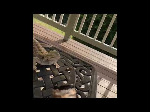 Trav Murray - “Hot Topik” Freestyle Video