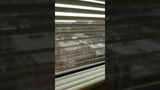 Dream about Rapture :  Left Behind due to unforgiveness