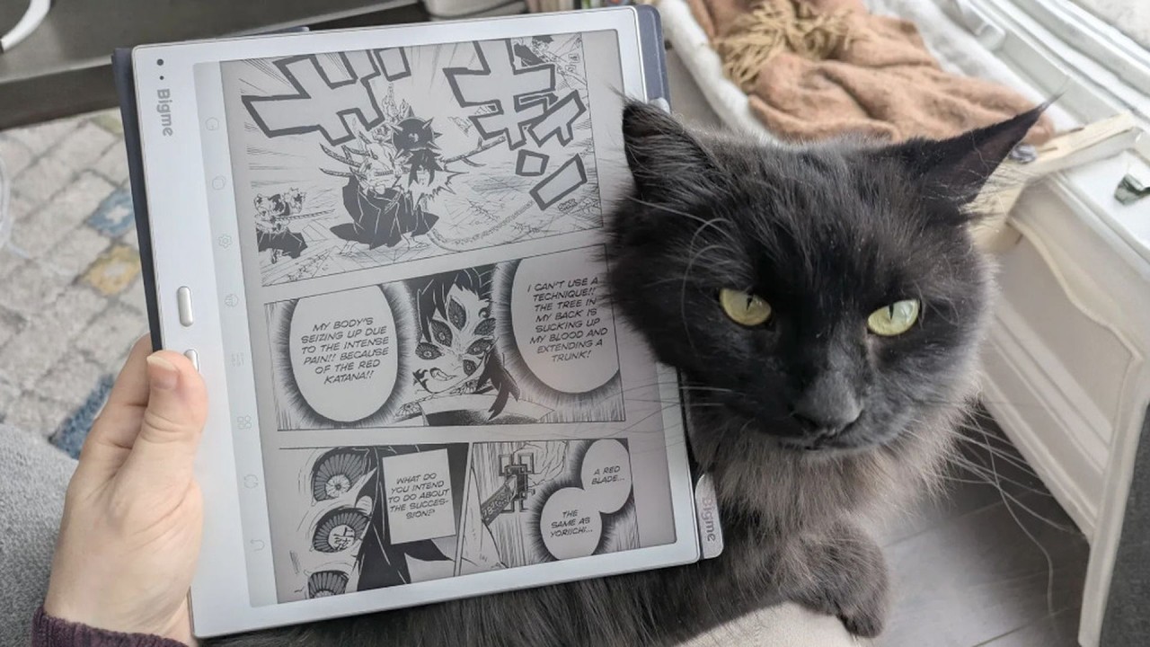 📖 10 дюймов это норма