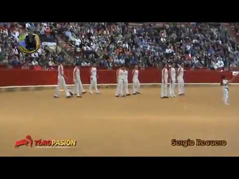 Man vs. bull, amazing fighting moments as play