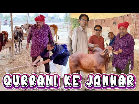 Tasleem Abbas and Soni New Comedy || Qurbani ke Janwar 😂@TasleemAbbasOfficial