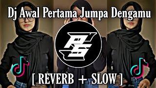Download lagu DJ  Awal Pertama Jumpa Denganmu [ REVERB   SLOW] mp3
