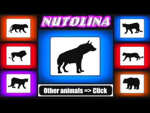 Animal sounds Hyena sounds  Hyena sound effect laught