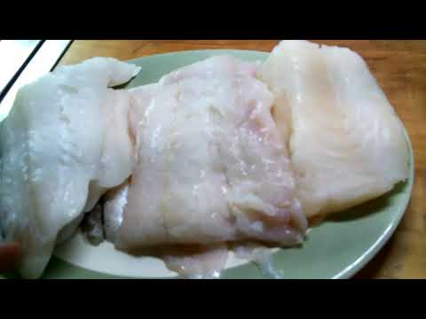 image-Which is bigger cod or haddock?