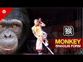 Shaolin MONKEY Style by WARRIOR Monk | BEST KUNG FU
