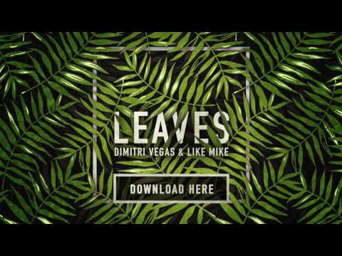 Video thumbnail for Leaves