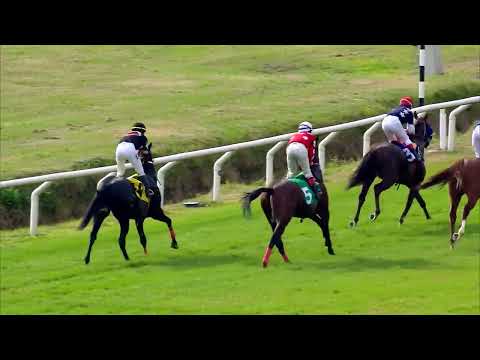 220723 c01 OSOJA (BRZ)